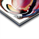 1647 8K Acrylic print