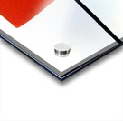 1641 8K Acrylic print