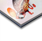 1658 8K Acrylic print