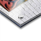 1708 8K Acrylic print