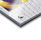 1698 8K Acrylic print