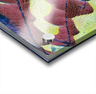 1679 8K Acrylic print