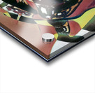 1732 8K Acrylic print