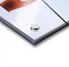 1711 8K Acrylic print