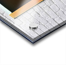 1742 8K Acrylic print