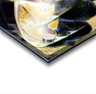 1772 8K Acrylic print