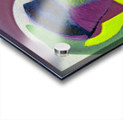 1790 8K Acrylic print