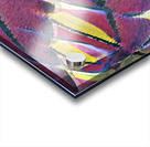 1757 8K Acrylic print