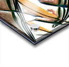 1830 8K Acrylic print