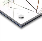 1848 8K Acrylic print