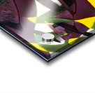 1846 8K Acrylic print