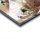 1865 8K Acrylic print