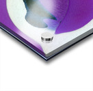 1877 8K Acrylic print