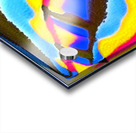 1879 8K Acrylic print