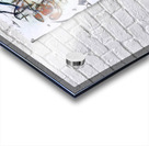 1893 8K Acrylic print