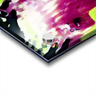 1892 8K Acrylic print