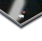 1918 8K Acrylic print