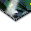 1926 8K Acrylic print