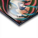 1973 8K Acrylic print