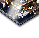 2008 8K Acrylic print