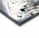 1995 8K Acrylic print