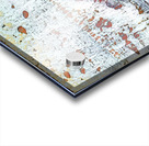 1994 8K Acrylic print