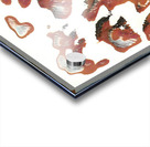 2007 8K Acrylic print