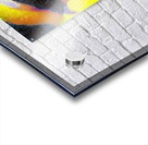 2019 8K Acrylic print