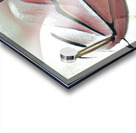 2084 8K Acrylic print