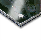 2083 8K Acrylic print