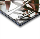 2096 8K Acrylic print