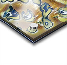 2136 8K Acrylic print