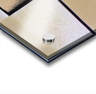 2111 8K Acrylic print