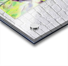 2165 8K Acrylic print