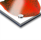 2215 8K Acrylic print