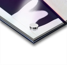 2197 8K Acrylic print