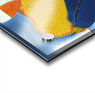 2223 8K Acrylic print