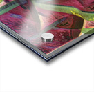 2229 8K Acrylic print