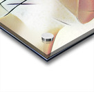 2242 8K Acrylic print