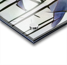 2258 8K Acrylic print