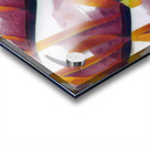 2236 8K Acrylic print