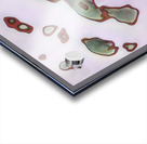 2279 8K Acrylic print