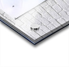 2361 8K Acrylic print