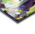 2381 8K Acrylic print