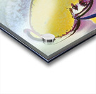 2354 8K Acrylic print