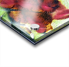 2415 8K Acrylic print