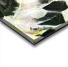 2403 8K Acrylic print