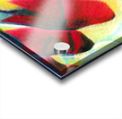 2443 8K Acrylic print