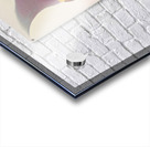 2497 8K Acrylic print