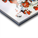 2495 8K Acrylic print